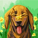 Avatar of user mihail19