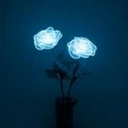 Avatar of user KTXfrogss