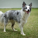 Avatar of user UgoKel