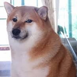 Avatar of user LOLAPOP