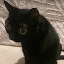 Avatar of user Otter2766