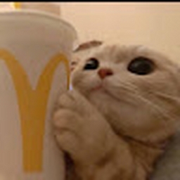 Avatar of user KrishnasProductionsMusic