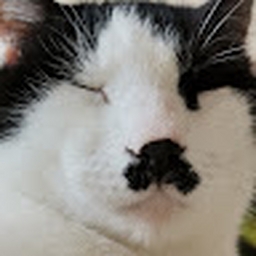 Avatar of user bulentuls