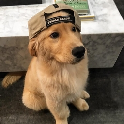 Avatar of user Blshtt