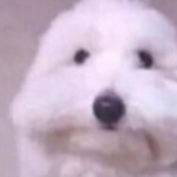 Avatar of user GAmeoevr0800