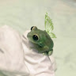 Avatar of user Gianellise