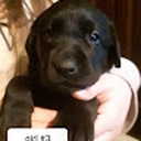 Avatar of user connorman1234