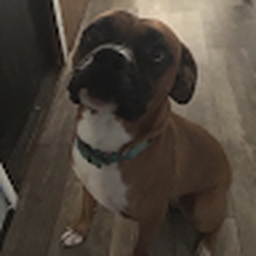 Avatar of user iexxsits