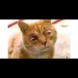 Avatar of user Goathsysg