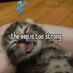 Avatar of user Laid211