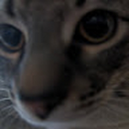 Avatar of user cozyjustexisting