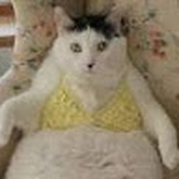 Avatar of user natemaster9000