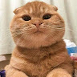 Avatar of user Meowwwmu