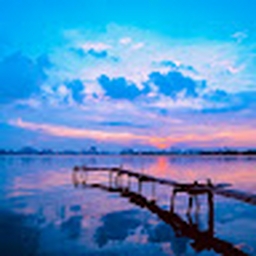 Avatar of user pianofish21