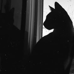 Avatar of user K-POP_ADDICTED-FREAK