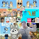 Avatar of user XuYimingBuFeiXiong