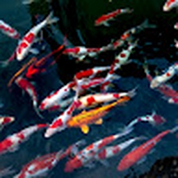 Avatar of user FuzIk