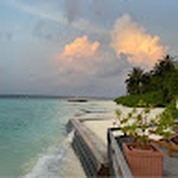 Avatar of user zaynabmohammed