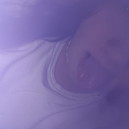 Avatar of user ꩜. °ヒーロ キティ