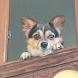 Avatar of user Qwerax