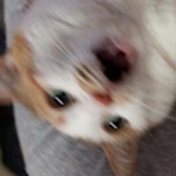 Avatar of user singoalla00