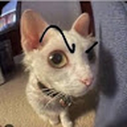 Avatar of user jboi92567