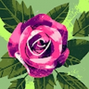 Avatar of user Asiyuni_5555