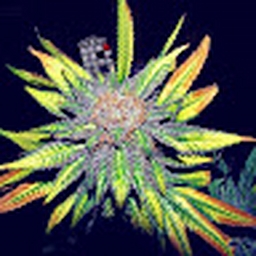 Avatar of user DjALeXTEe