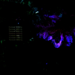 Avatar of user Zenith