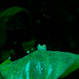 Avatar of user holadayana123-esyo