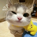 Avatar of user Kythesia07