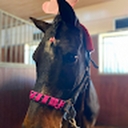 Avatar of user Supernova_16