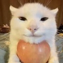 Avatar of user jokrr