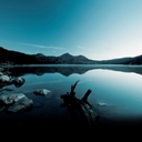 Avatar of user lomotunes