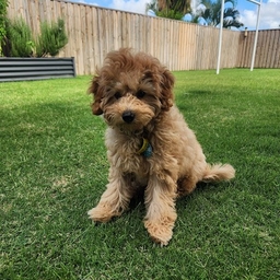 Avatar of user EvieJ