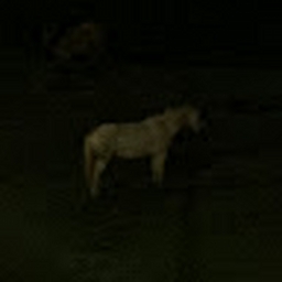 Avatar of user elcomepene3000
