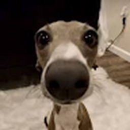 Avatar of user Rand0m2211