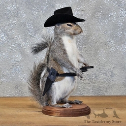 Avatar of user BACKYARDSQUIRREL