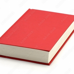 Avatar of user Red_bookYT