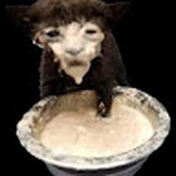 Avatar of user Jizz_wizard6996