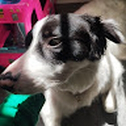 Avatar of user lizaroonie