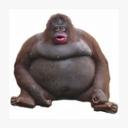 Cover of album 30 minute Producers: Origins (12/2/2019) by Audiotool Server Archive