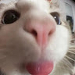 Avatar of user Didocas