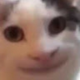 Avatar of user lolpolisnl