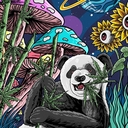 Avatar of user MusicVibe667