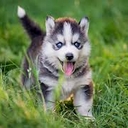 Avatar of user Natasha9