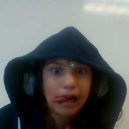 Avatar of user catlover1323