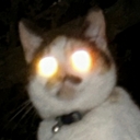 Cover of album Horror type stuff >:] by Dylan6000 Vaynight (GONE)