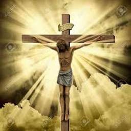Avatar of user ???✝️❤️