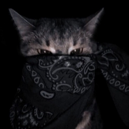 Avatar of user $AVAGE